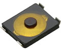 EVPAF7B65